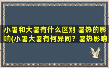 小暑和大暑有什么区别 暑热的影响(小暑大暑有何异同？暑热影响分析，让你了解！)